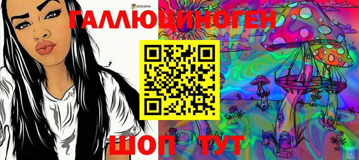 Псилоцибиновые грибы Psilocybine cubensis  Вход с VPN  Углич 
